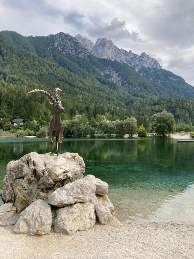 Belopeski Dvori * Kranjska Gora
